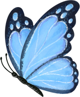 Blue Butterfly Illustration Cutout